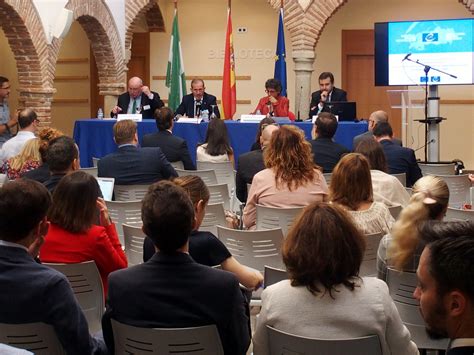 Marbella Acoge Un Encuentro Del Consejo De Europa Sobre Garantías