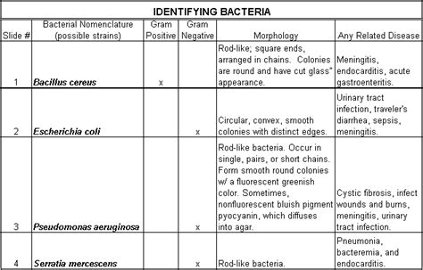 Microbiology Morphology Chart