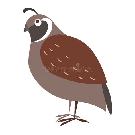 Partridge Stock Illustrations – 842 Partridge Stock Illustrations ...