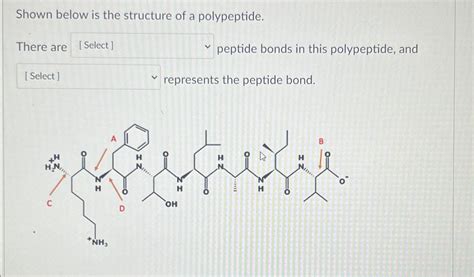 Solved Shown below is the structure of a polypeptide.There | Chegg.com