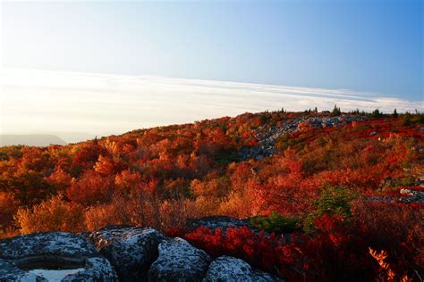 9 Amazing Views from the West Virginia Mountains | Trekbible