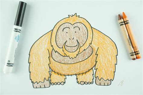 ️ How To Draw An Orangutan