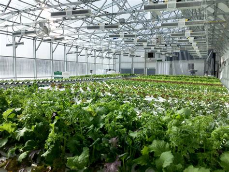 Commercial Greenhouse Design Commercial Greenhouses For Farming Ceres Greenhouse