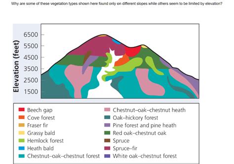 Solved Why are some of these vegetation types shown here | Chegg.com