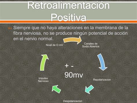 Potenciales De Membrana Potenciales De Accion Ppt Descarga Gratuita