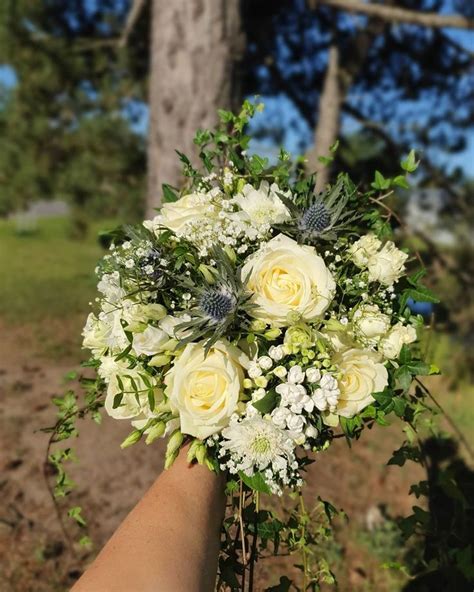 0 gilla markeringar 0 kommentarer Lilla Hults Blommor o Trädgård