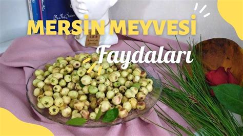 FAYDALARI SAYMAKLA BİTMEYEN MERSİN MURT HAMBELES MEYVESİNİN