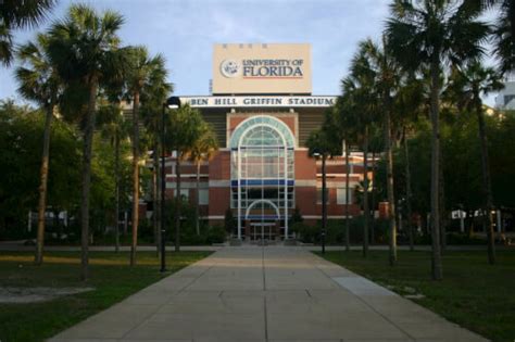 university  florida finance degree master  finance degrees