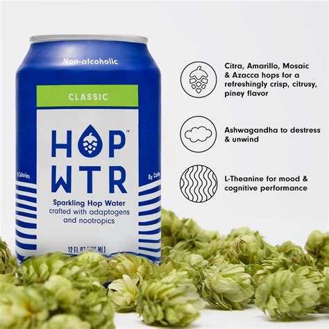 Hop Wtr Sparkling Hop Water Classic 12 Pack Non Alcoholic Beverage