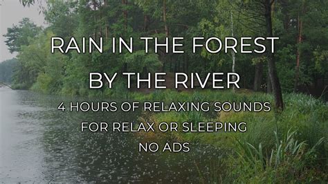 Rain In The Forest By The River Hours Of Rainy Day Ambience For