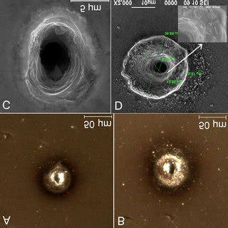 Sem Micrographs Of Inconel Surface Prior To Irradiation A And