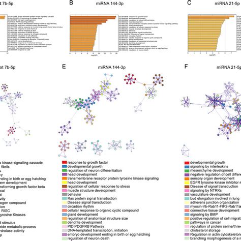 Functional Enrichment Analysis Of Mirna Target Genes A To C Top