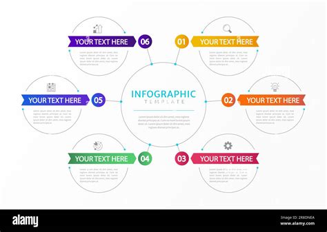 Project Expectations Infographic Chart Design Template Stock Vector