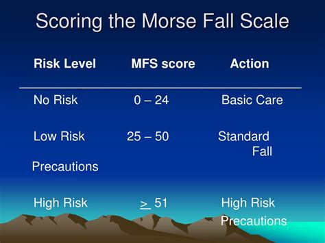 Morse Fall Risk Assessment Tool