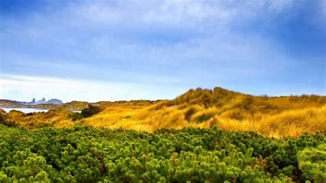 Wallpaper Landscape Hill Nature Grass Sky Plants Field Morning