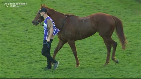 SKY Racing On Twitter Ellen Hennessy Talks Through Her Triumph On Meg