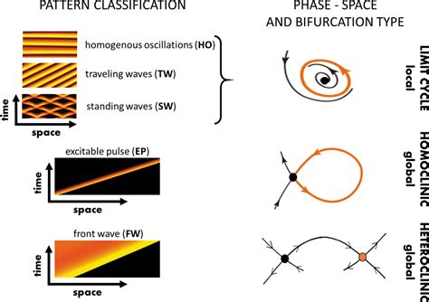 Figures And Data In From Actin Waves To Mechanism And Back How Theory