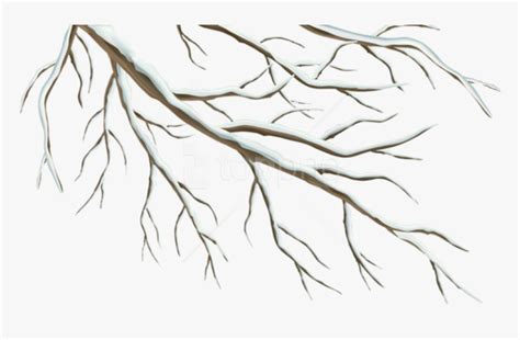 Free Png Winter Branch Png Winter Tree Branch Clipart Transparent