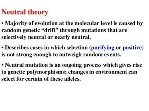 Theory Of Evolution: Neutral Theory Of Evolution