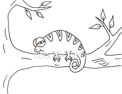 Mixed Up Chameleon Coloring Page