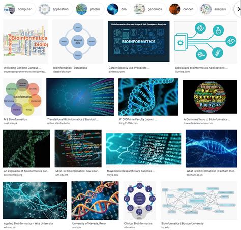 Nibbling away at bioinformatics education with NIBLSE | Digital World ...