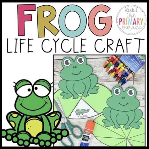 Frog Life Cycle Craft - The Primary Parade