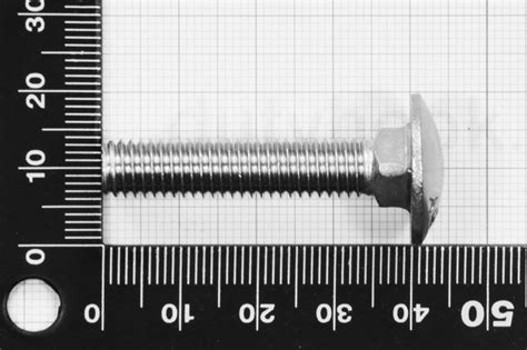 M X Carriage Bolt Din Stainless Steel Aisi Marine Grade