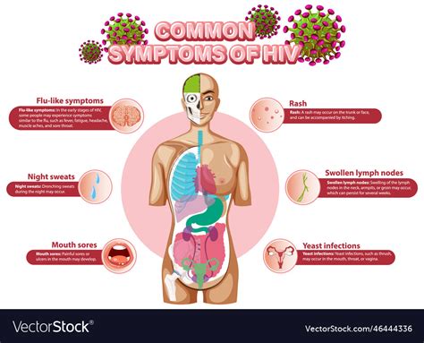 Informative poster of common symptoms hiv Vector Image