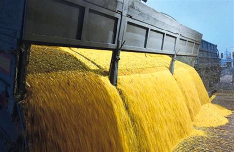 Brazil Estimates Over Mln Tons In Grain Production For