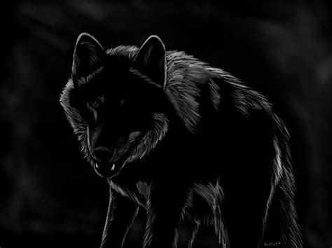 Shadow Wolf