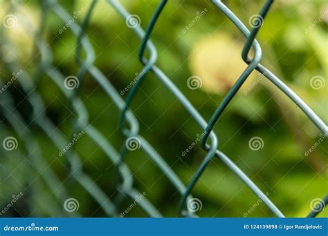 Wire Mesh Fence In My Backyard Stock Photo Image Of Industry Border