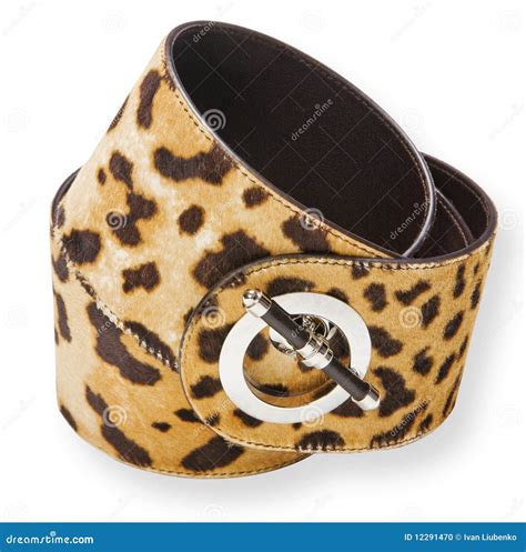 Leopard Belt Stock Photo Image Of Isolated Clasp Fasten