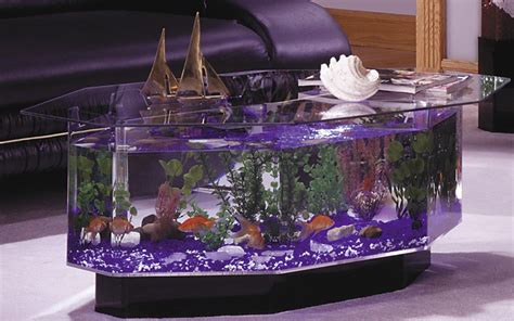 Table Basse Aquarium Bois Ladolceviedchat Fr