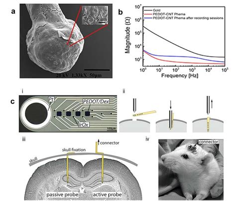 Neural Probes Based On Alternative Pedot Dopants Or Composites A