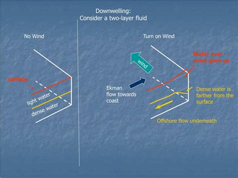 PPT - Upwelling/Downwelling and Related Processes PowerPoint ...