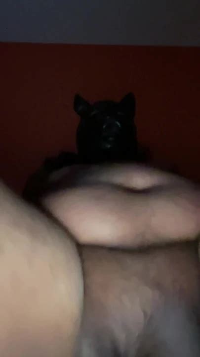 Masked Pig Flaps His Dick American Gay Amateur Amateur Porn XHamster