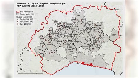 Peste Suina Otto Nuovi Casi Registrati Tra Piemonte E Liguria