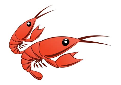 Cartoon Version Of Shrimp 2384864 Vector Art At Vecteezy