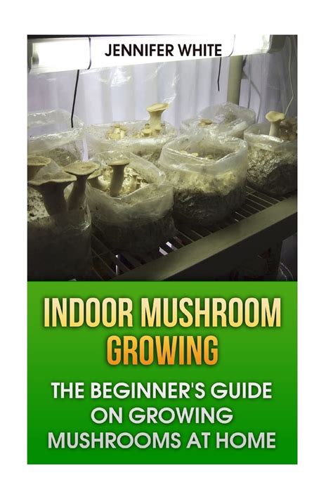 Indoor Mushroom Growing The Beginners Guide On Growing Mushrooms At