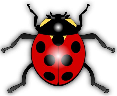 Cartoon Ladybug Clip Art Png Png Mart