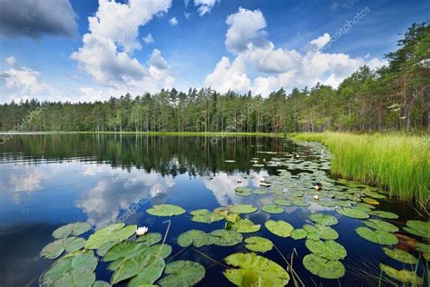 Jezero Saimaa Ve Finsku — Stock Fotografie © Alexstemmer 98167426