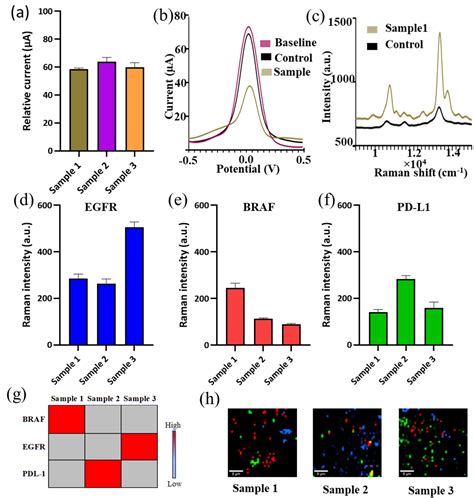 Chemosensors Free Full Text An Electrochemical And Raman Scattering