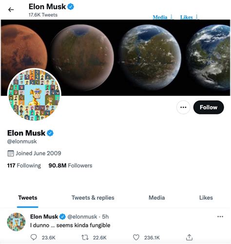 Elon Musk Twitter profile photo sends ApeCoin surging