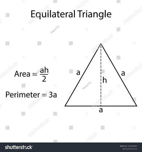 Area Perimeter Equilateral Triangle Mathematics Vector Stock Vector ...