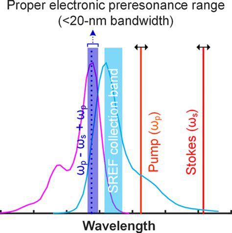 Stimulated Raman Excited Fluorescence Spectroscopy Of Visible Dyes