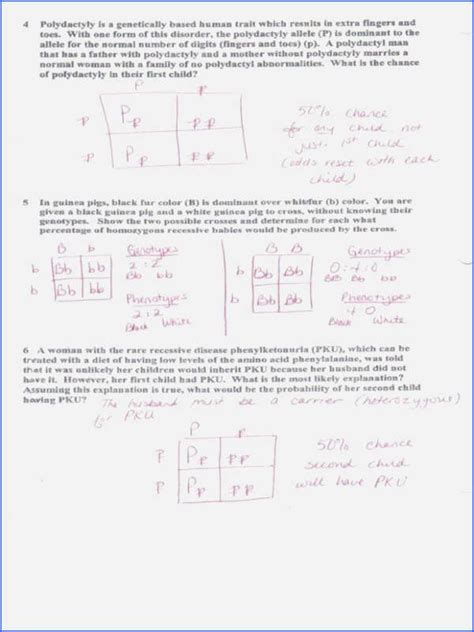 Punnett Square Dihybrid Cross Worksheets