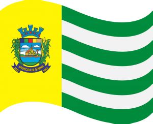 Prefeitura Municipal de Aparecida de Goiânia Bandeira e Brasão de