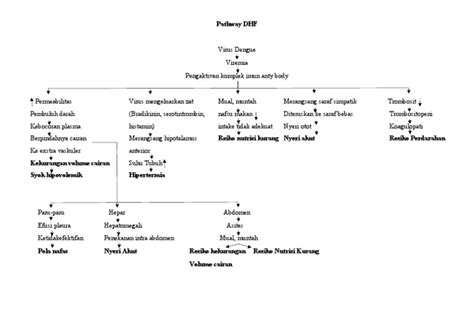 Pathway Dhf 01 Pdf