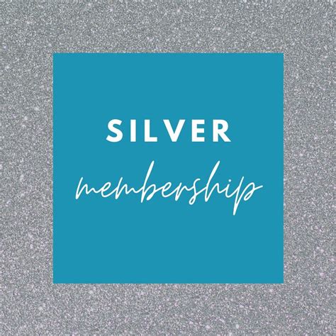 Silver Membership Responsible Sex Education Institute Rsei