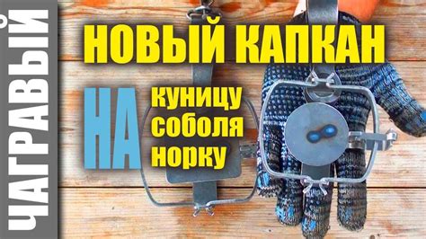 НОВЫЙ капкан на куницу, соболя, норку | Уралец УСИЛЕННЫЙ - YouTube